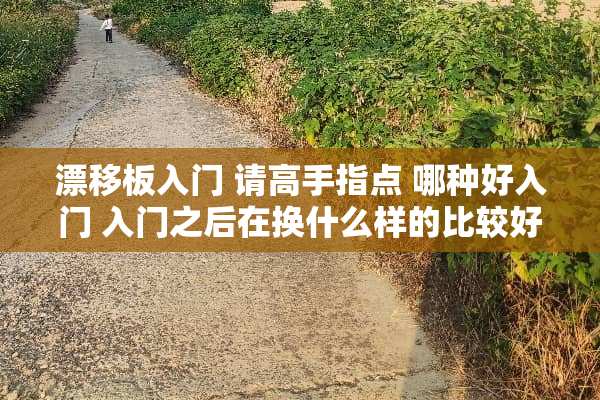 漂移板入门 请高手指点 哪种好入门 入门之后在换什么样的比较好？