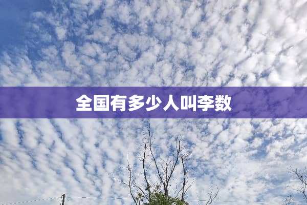 全国有多少人叫李数