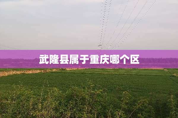 武隆县属于重庆哪个区