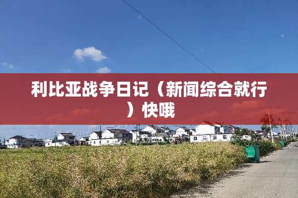 利比亚战争日记（新闻综合就行）快哦