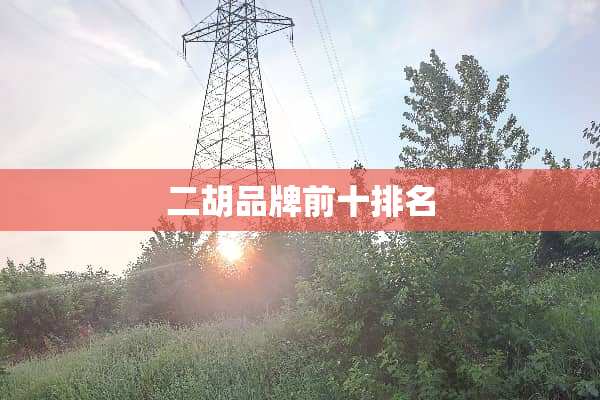 二胡品牌前十排名