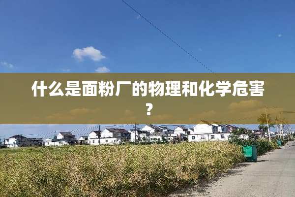 什么是面粉厂的物理和化学危害？