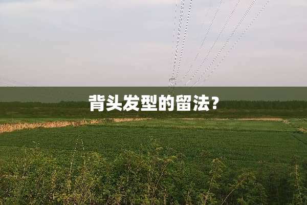 背头发型的留法？
