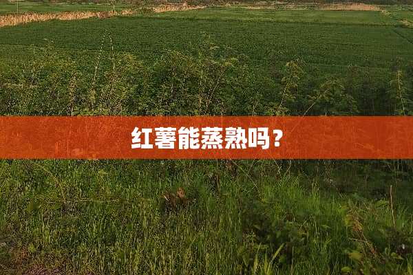红薯能蒸熟吗？