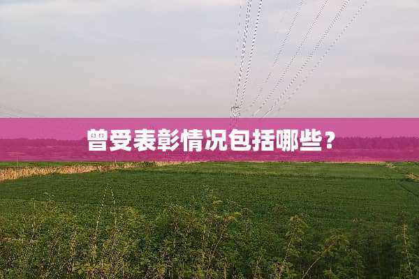 曾受表彰情况包括哪些？