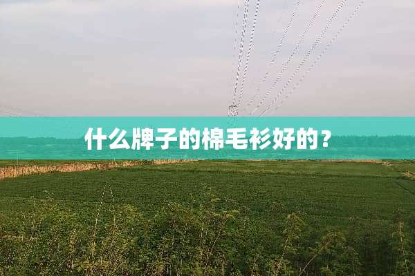 什么牌子的棉毛衫好的？