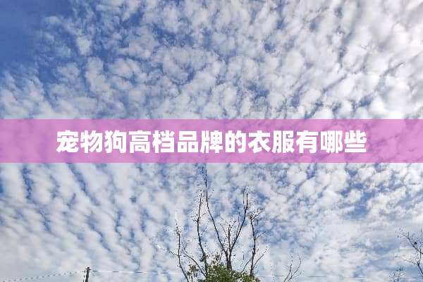 宠物狗高档品牌的衣服有哪些