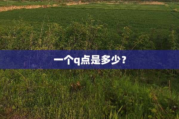 一个q点是多少？