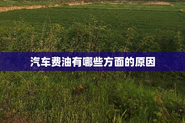 汽车费油有哪些方面的原因