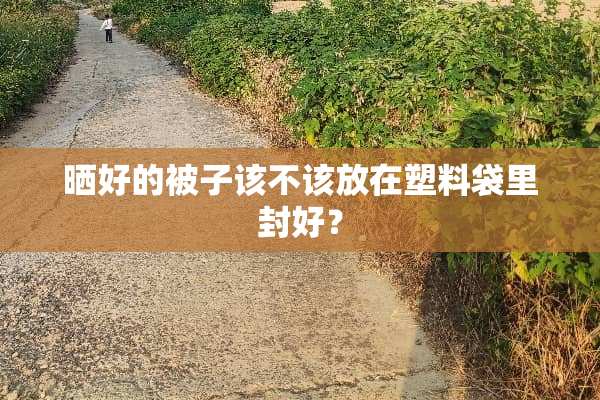 晒好的被子该不该放在塑料袋里封好？