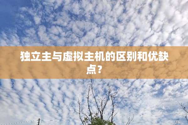 **主与虚拟主机的区别和优缺点？