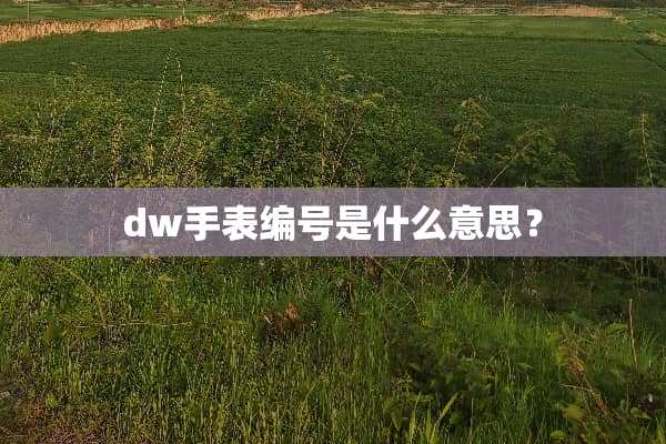 dw手表编号是什么意思？