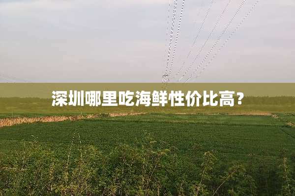 深圳哪里吃海鲜性价比高？