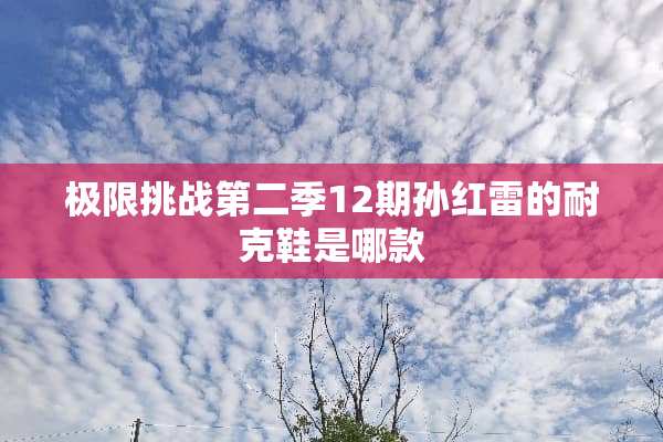 极限挑战第二季12期孙红雷的耐克鞋是哪款