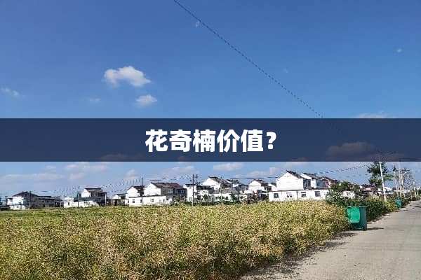 花奇楠价值？