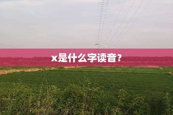 x是什么字读音？