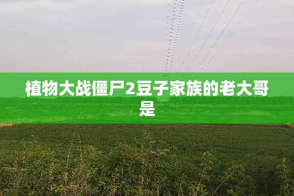 植物大战僵尸2豆子家族的老大哥是