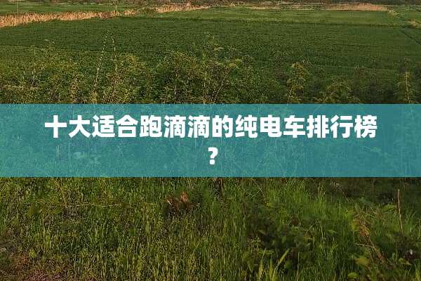十大适合跑滴滴的纯电车排行榜？