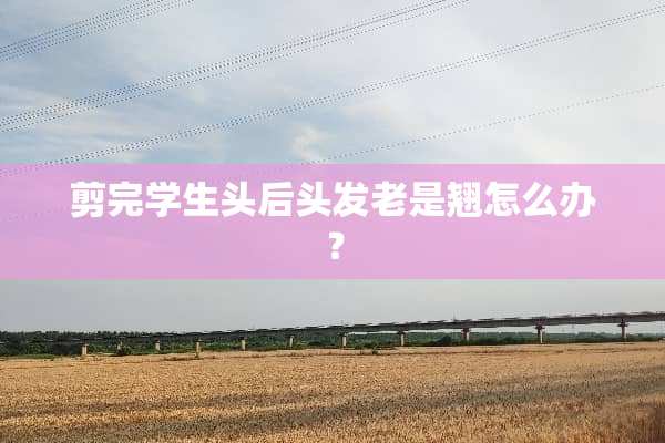 剪完学生头后头发老是翘怎么办？