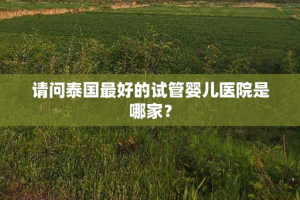 请问泰国最好的试管婴儿医院是哪家？
