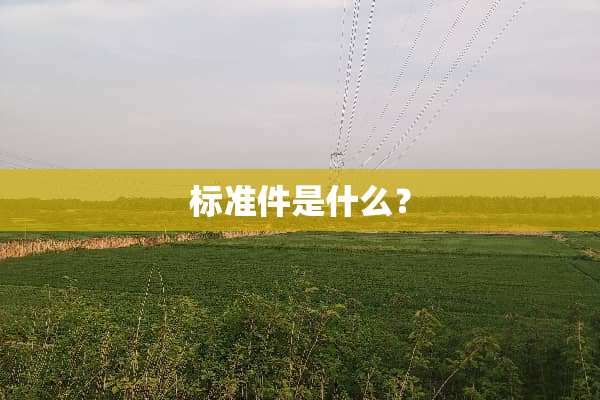 标准件是什么？