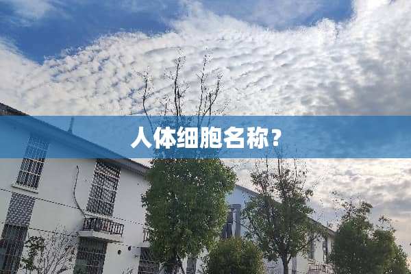 人体细胞名称？