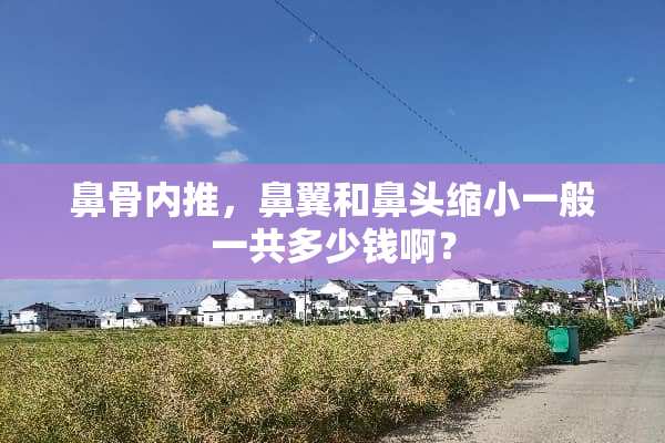 鼻骨内推，鼻翼和鼻头缩小一般一共多少钱啊？