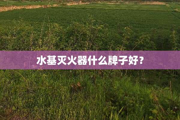 水基灭火器什么牌子好？