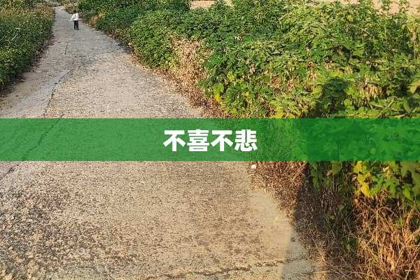 不喜不悲