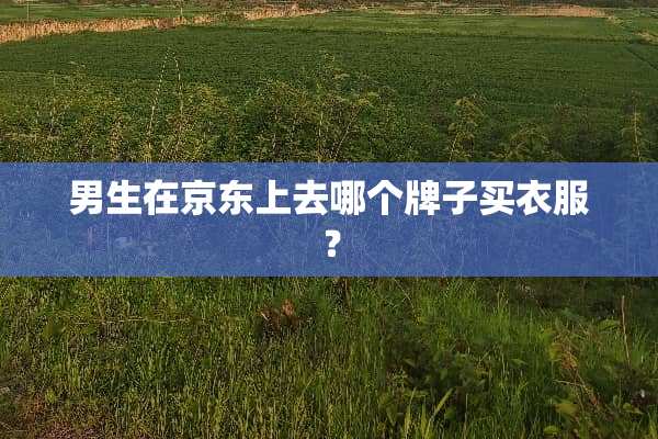 男生在京东上去哪个牌子买衣服？