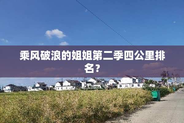 乘风破浪的姐姐第二季四公里排名？