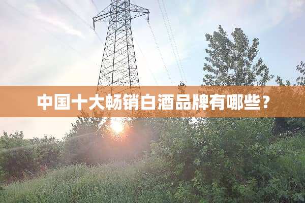 中国十大畅销白酒品牌有哪些？