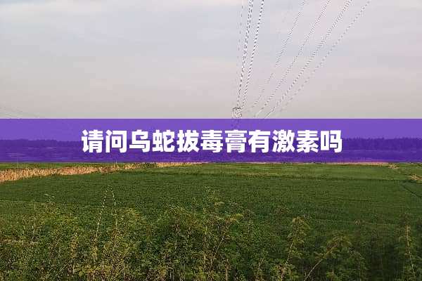 请问乌蛇拔毒膏有激素吗