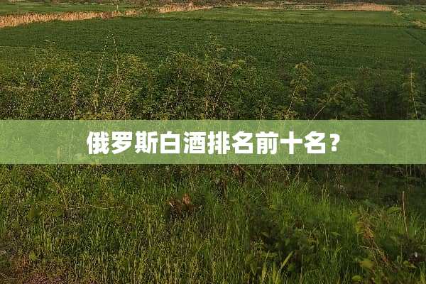 俄罗斯白酒排名前十名？