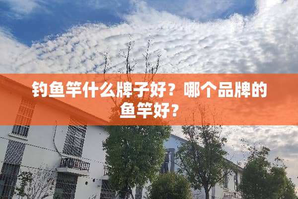 钓鱼竿什么牌子好？哪个品牌的鱼竿好？