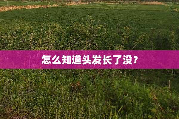 怎么知道头发长了没？