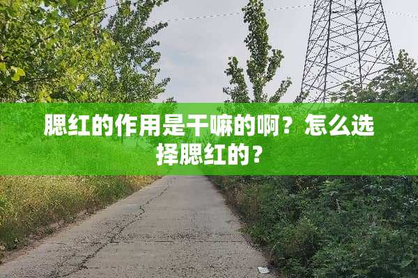腮红的作用是干嘛的啊？怎么选择腮红的？