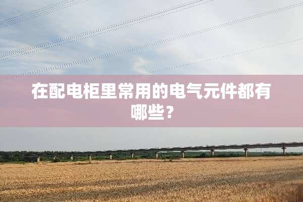 在配电柜里常用的电气元件都有哪些？