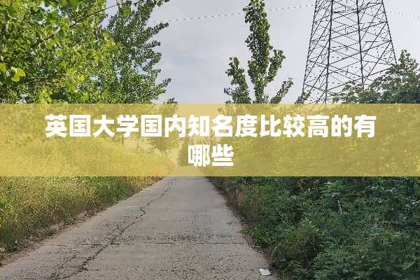 英国大学国内知名度比较高的有哪些