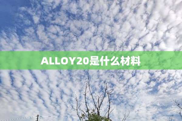 ALLOY20是什么材料