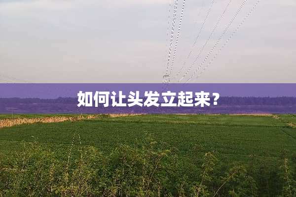 如何让头发立起来？