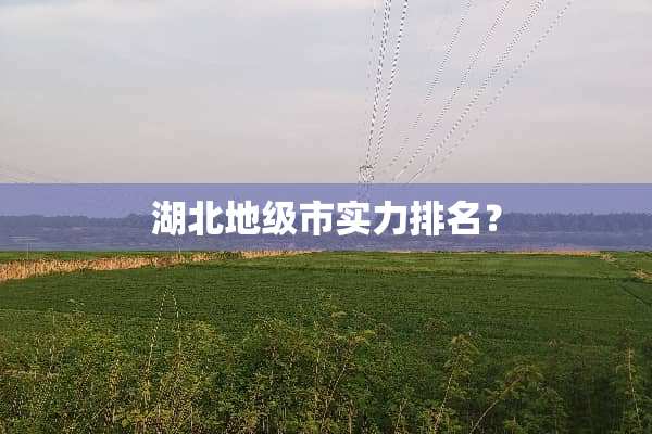 湖北地级市实力排名？
