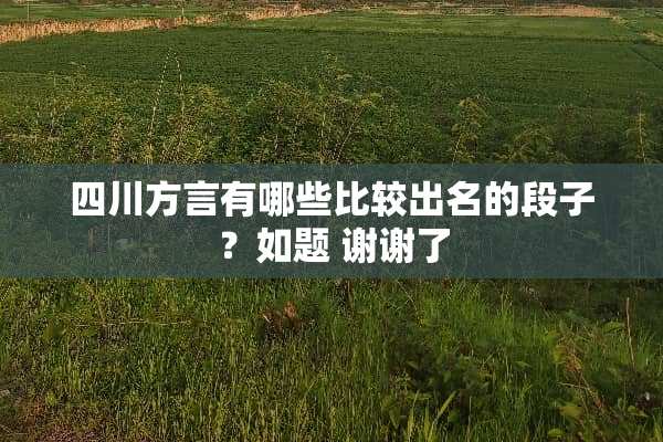 四川方言有哪些比较出名的段子？如题 谢谢了