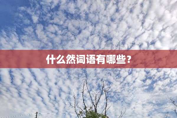 什么然词语有哪些？