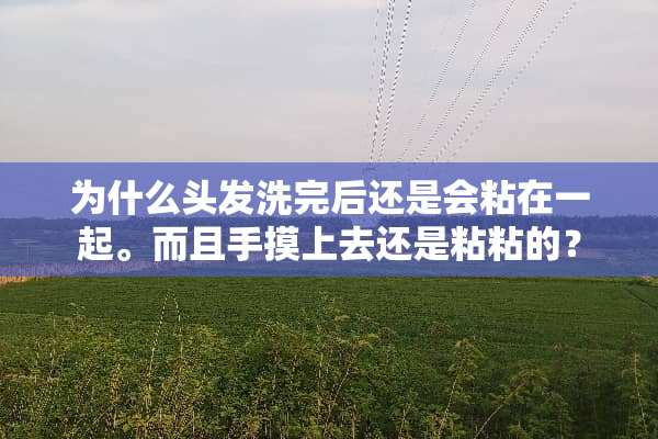 为什么头发洗完后还是会粘在一起。而且手摸上去还是粘粘的？