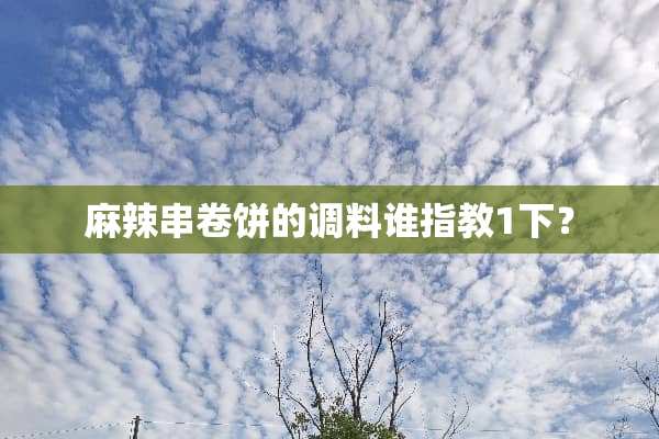 麻辣串卷饼的调料谁指教1下？