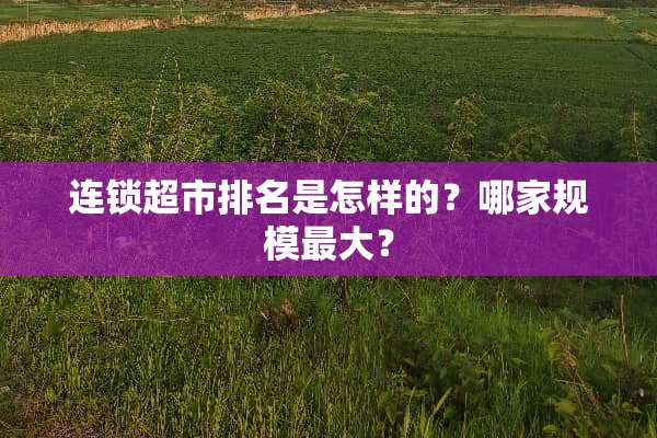 连锁超市排名是怎样的？哪家规模最大？