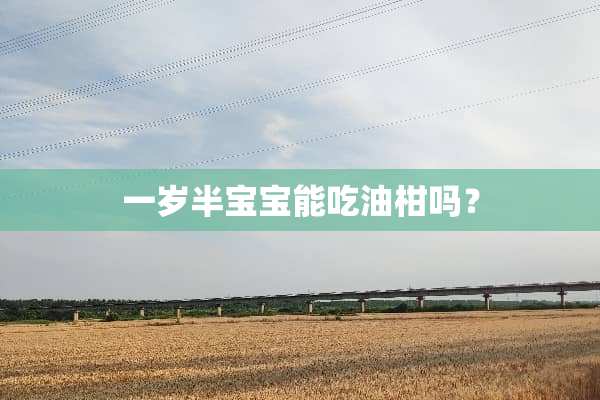 一岁半宝宝能吃油柑吗？