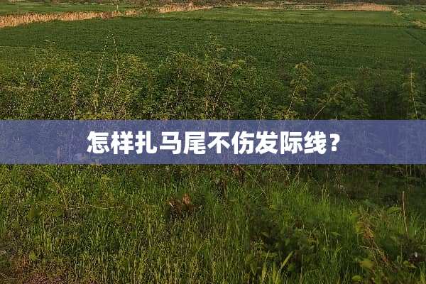 怎样扎马尾不伤发际线？