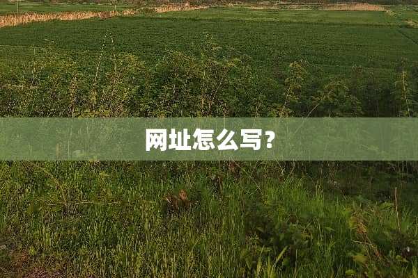 网址怎么写？